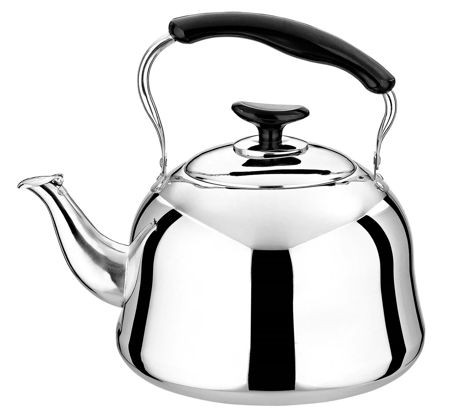 Stainless Steel Tea Kettle